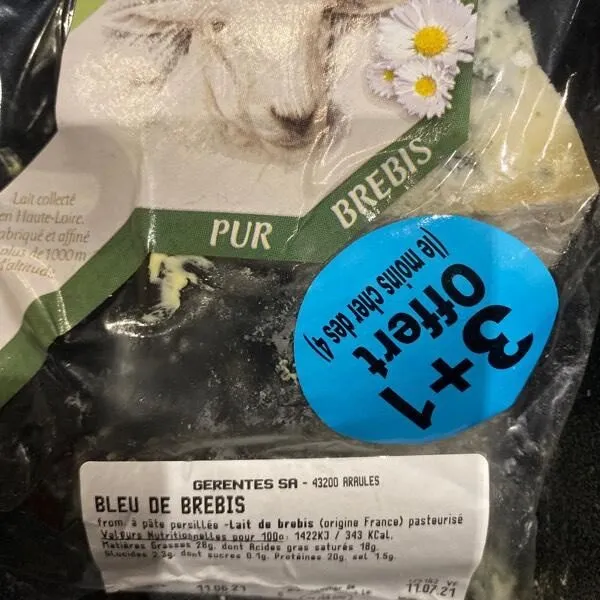 Bleu de brebis