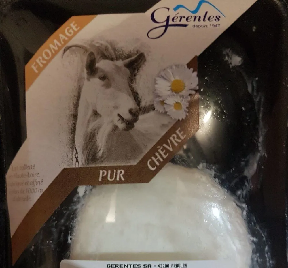 Bûche de chevre