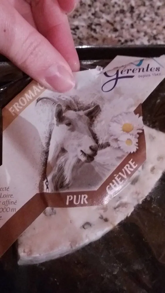 Bleu de chèvre