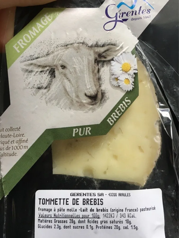 Tommette de brebis