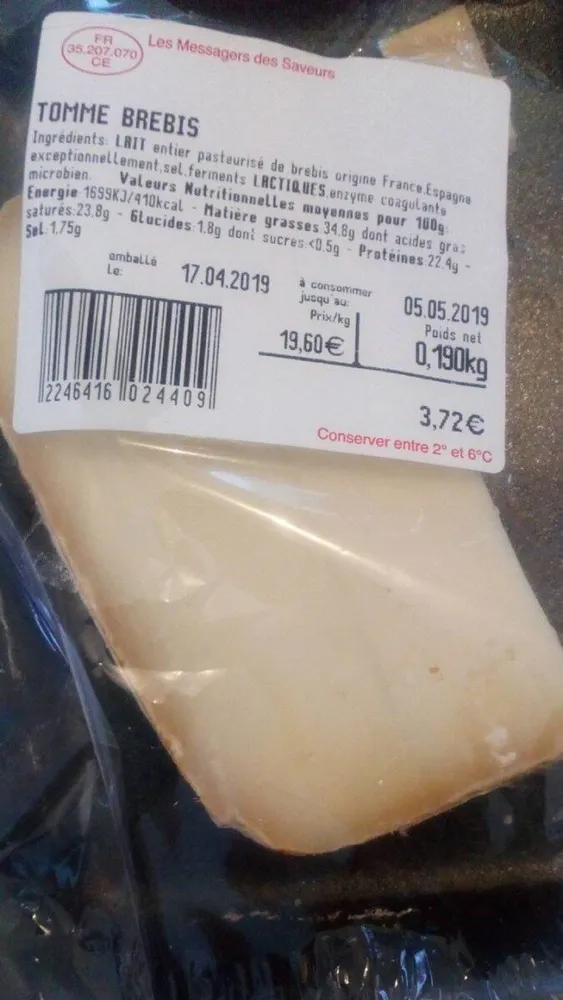 TOMME BREBIS