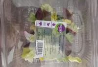 Mélange de saison