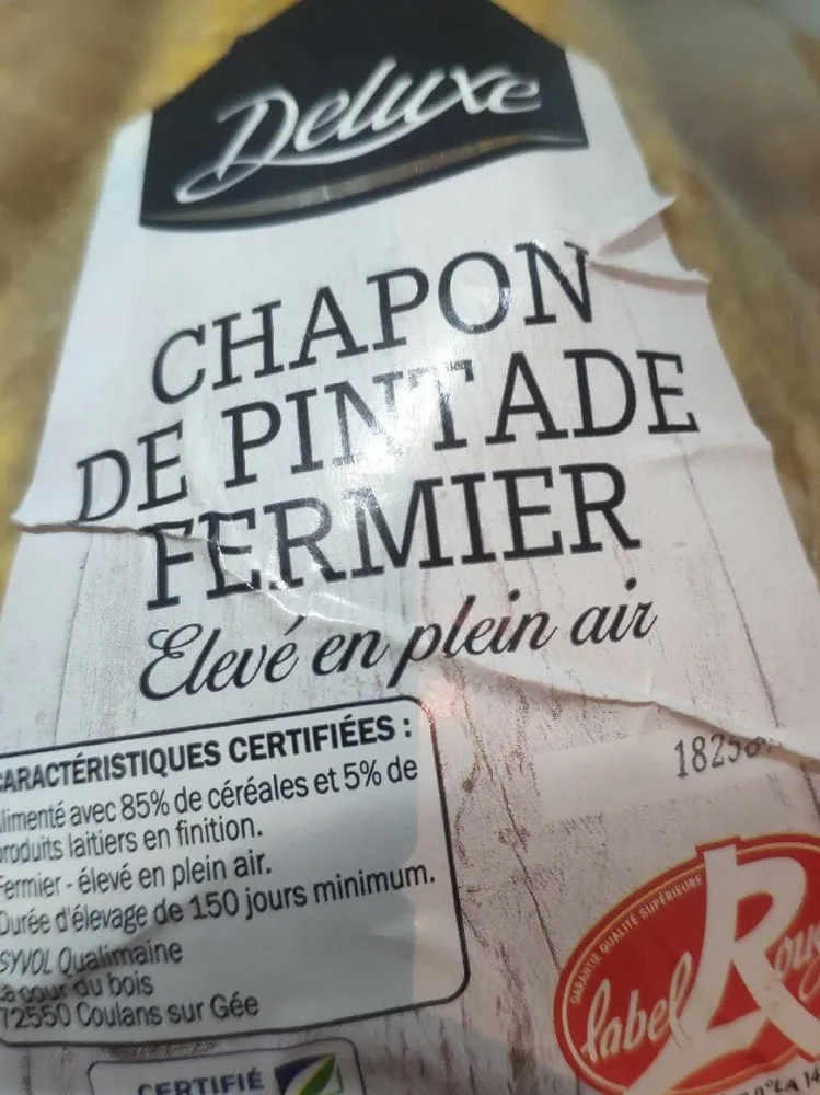 Chapon de pintade fermier