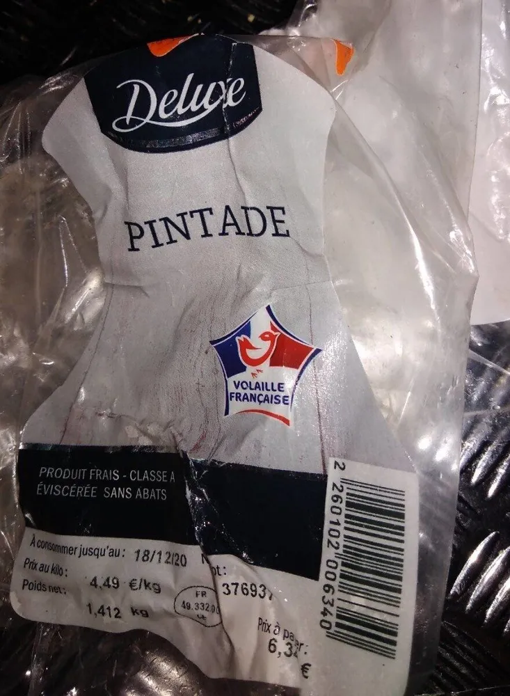 Pintade
