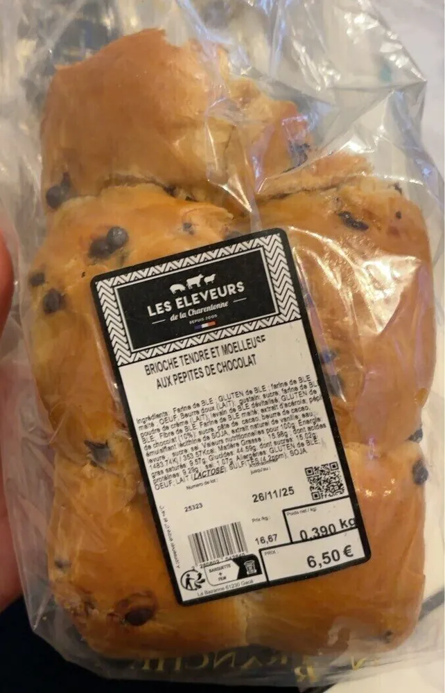 Brioche tendre et mœlleuse aux pépites de chocolat