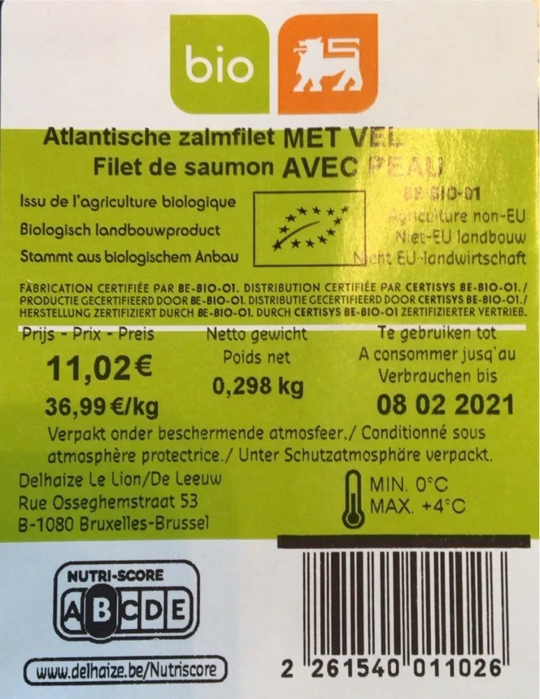 Salmon