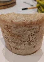 Tomette de brebis