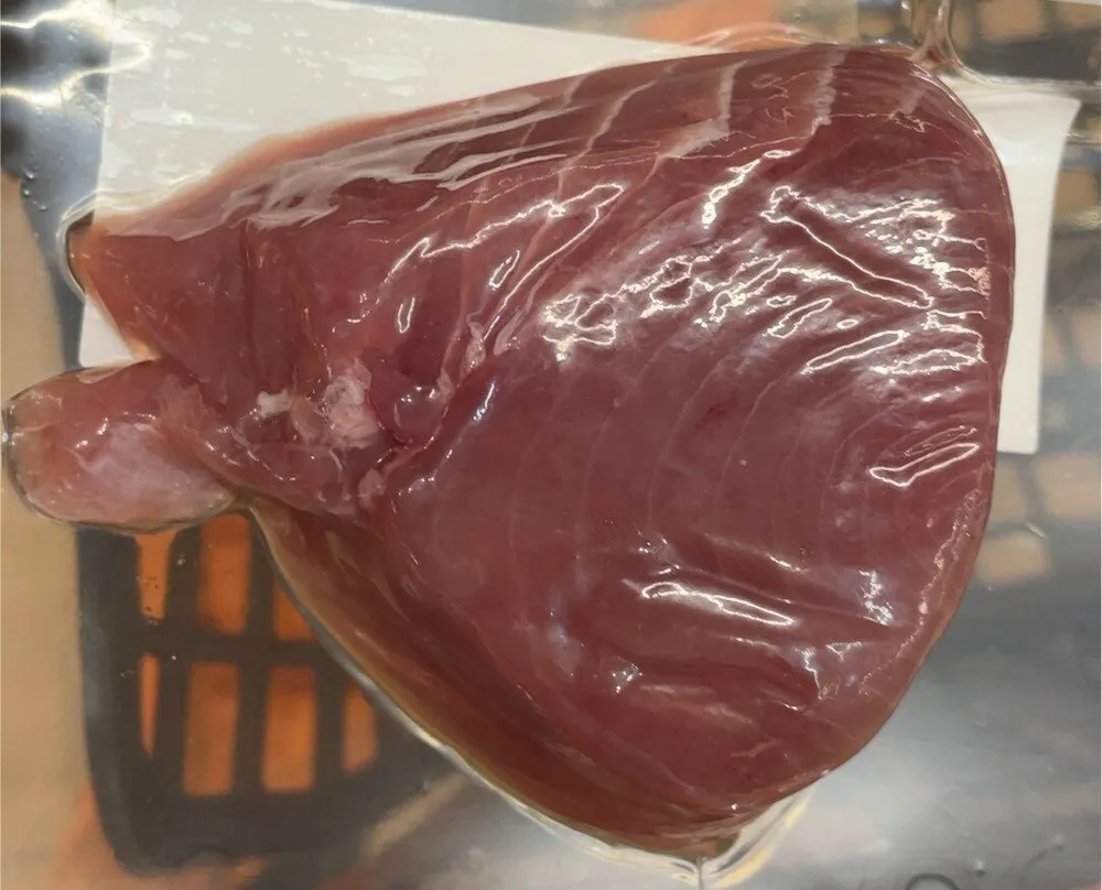 Steak de thon