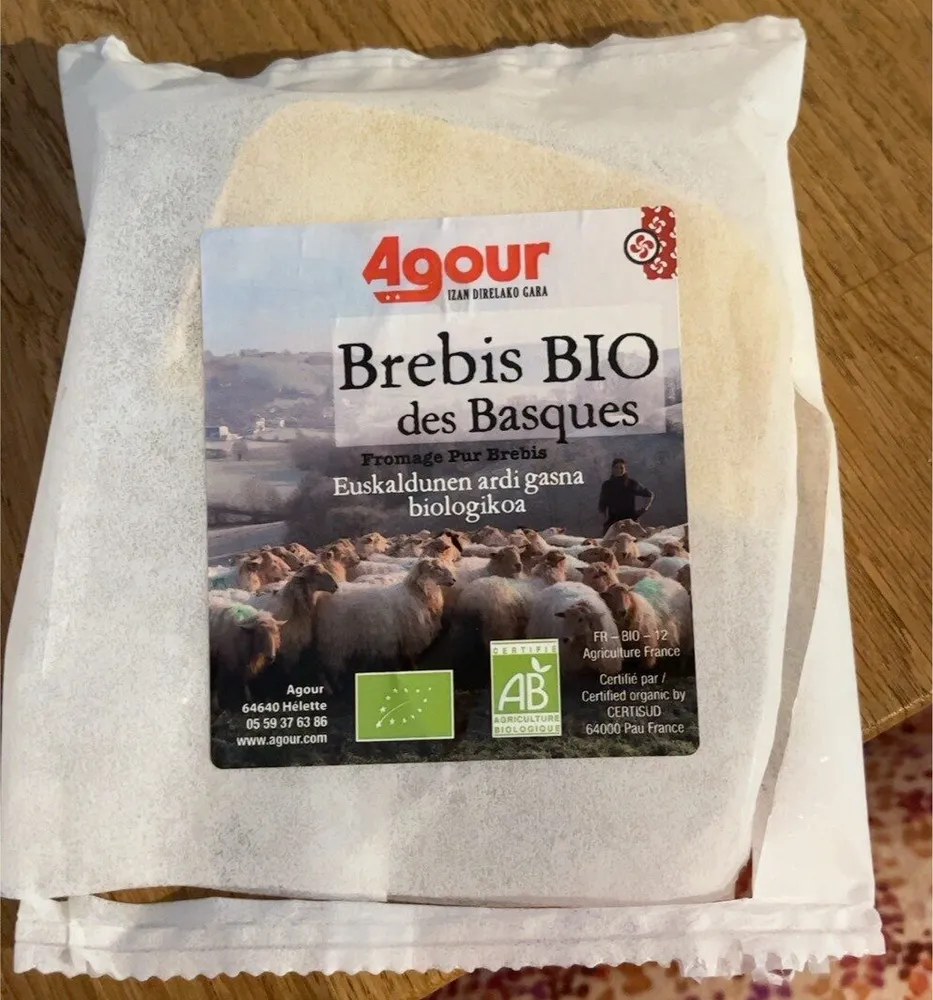 Brebis Bio des Basques