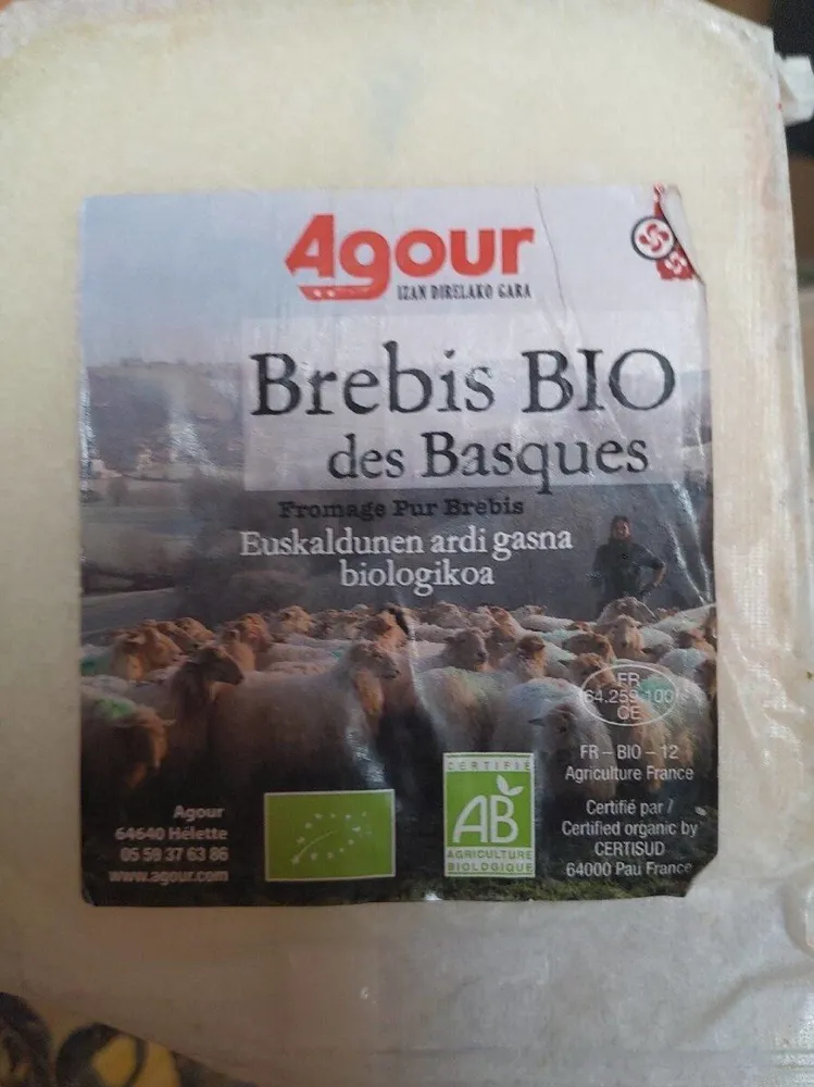 Brebis des Basques bio