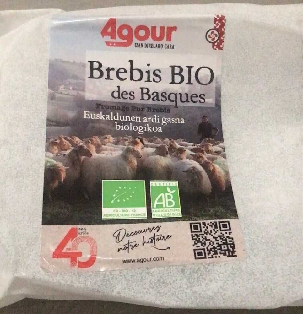 Brebis bio des Basques