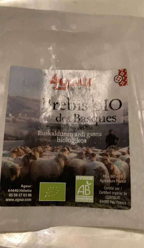 Brebis bio des Basques