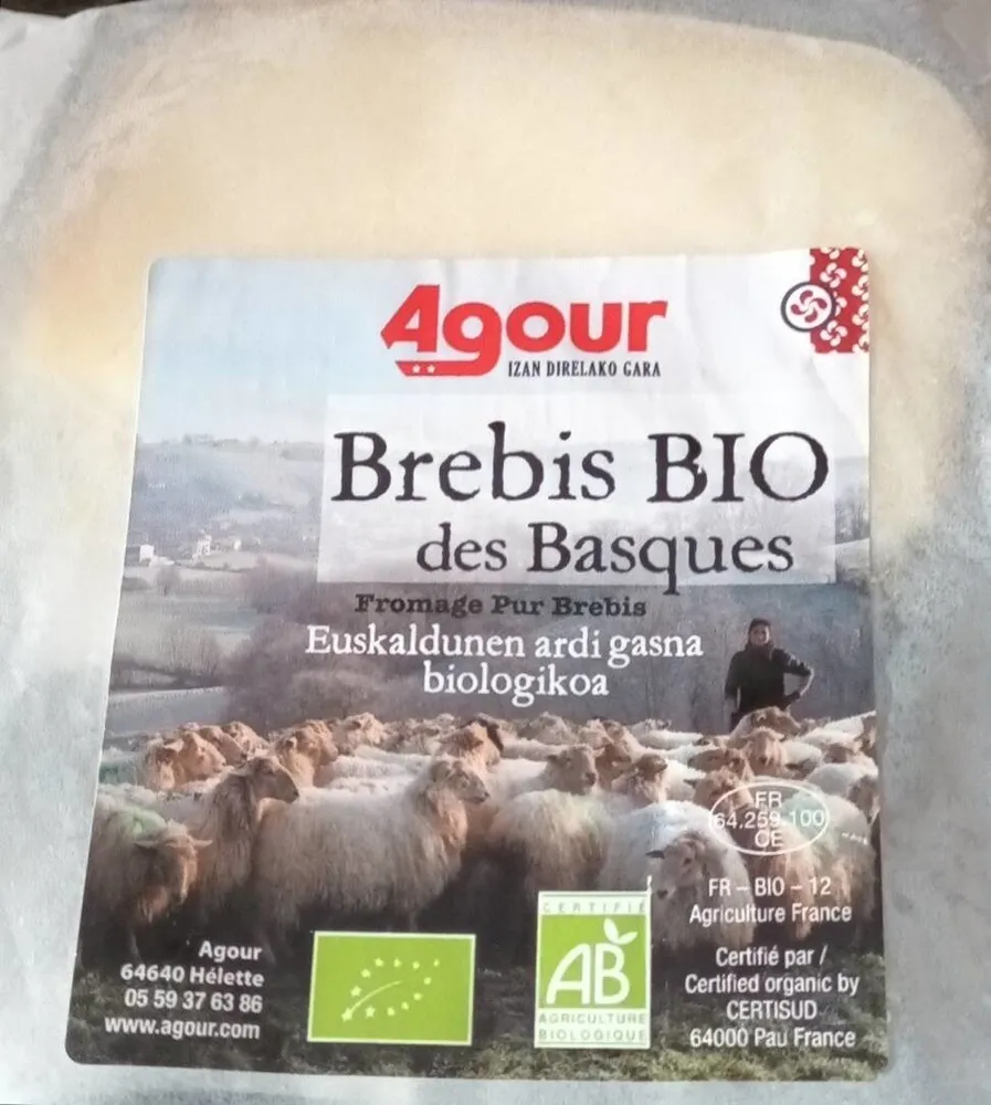 Brebis BIO des Basques