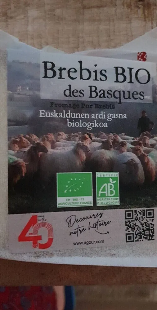Brebis bio des basques