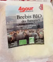 Brebis BIO des Basques