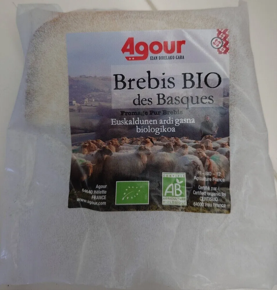 Brebis BIO des Basques