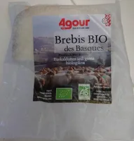 Brebis BIO des Basques