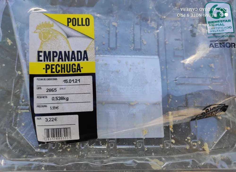 Pechuga de pollo empanada