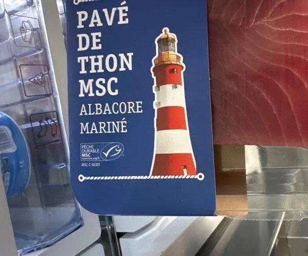Pavé de thon
