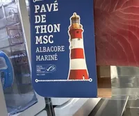 Pavé de thon