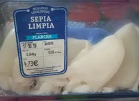Molusco cefalópodo.  Sepia limpia