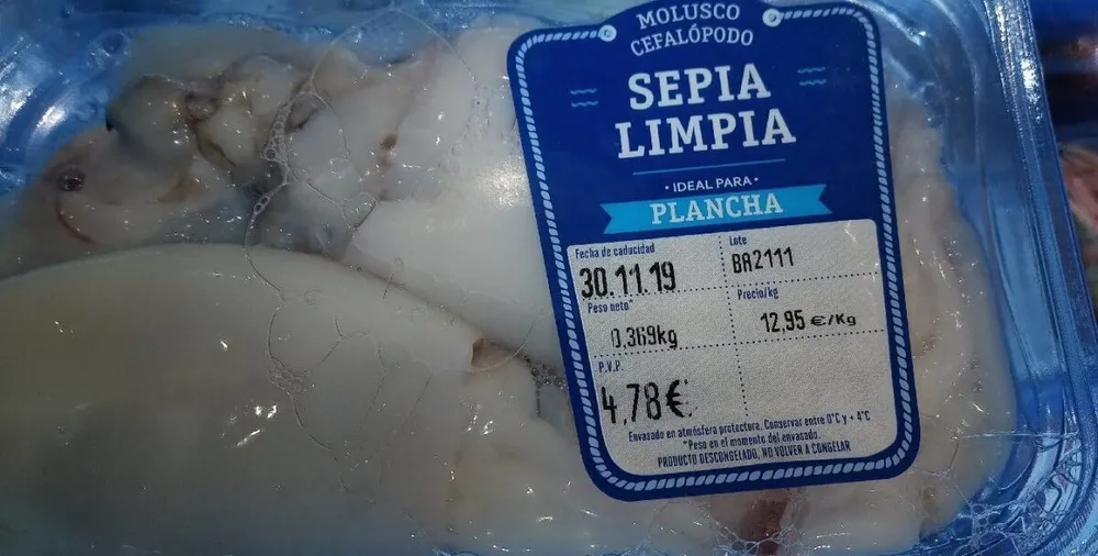 Sepia limpia