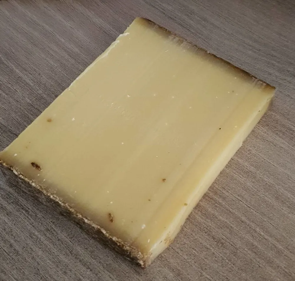 COMTE AOP 22 MOIS FROMGERIE VAGNE