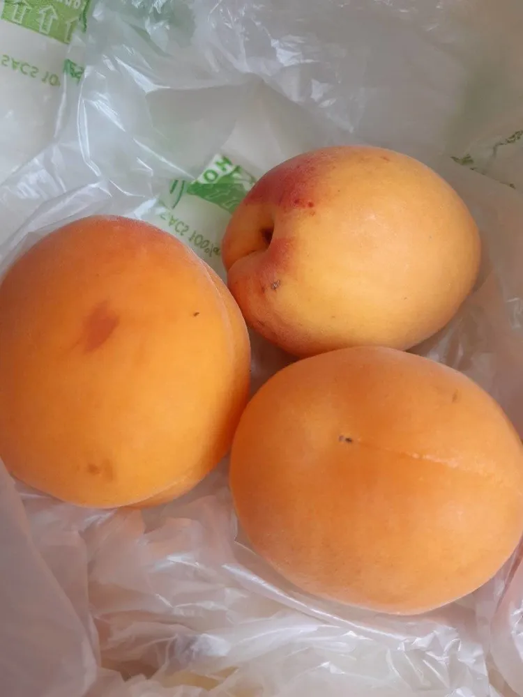 Abricot moyen vrac