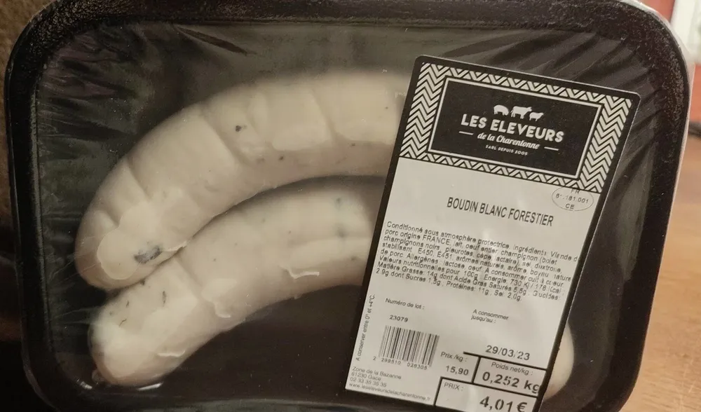 Boudin blanc forestier