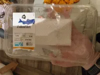 Zalmfilet