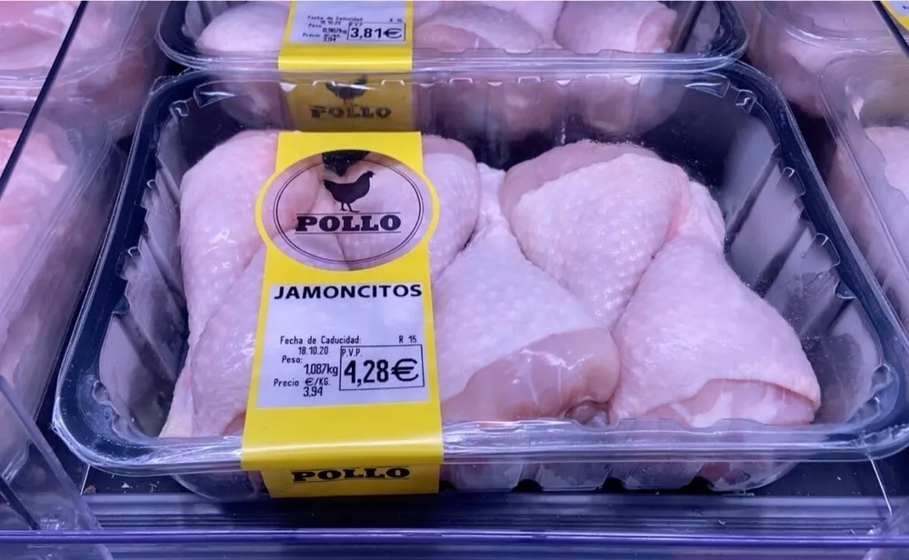 Pollo