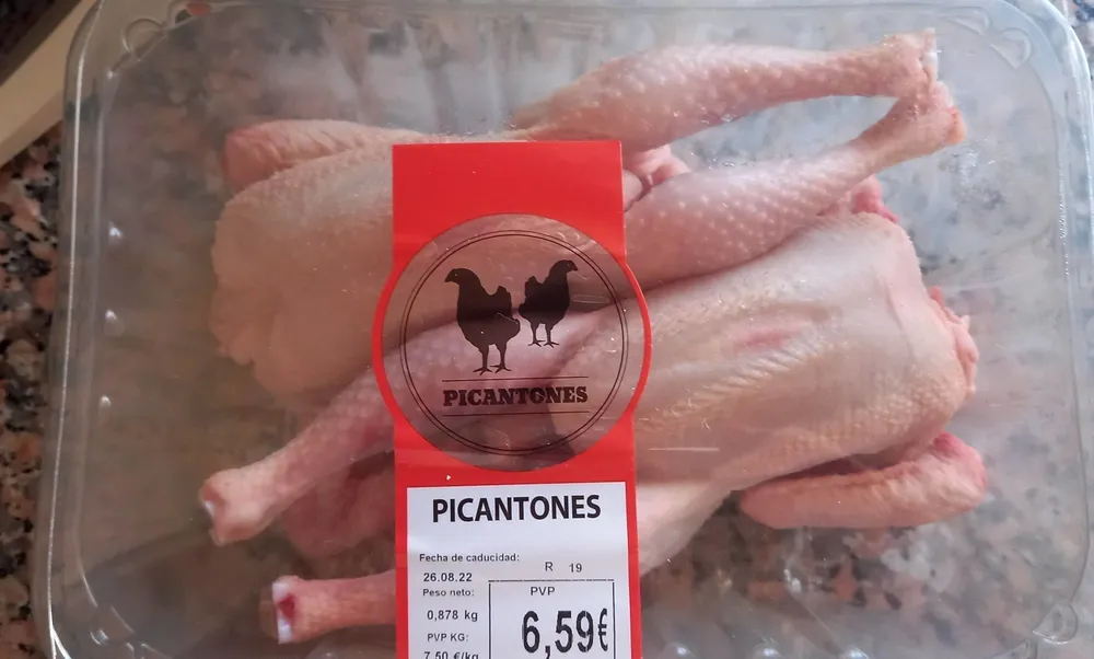 Picantones