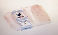 Pechugas de pollo finas hierbas marinadas