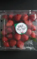 Fresón