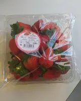 Fresas CUNA DE PLATERO