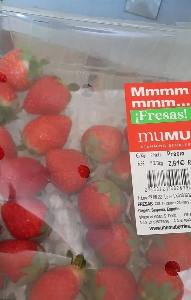 FRESAS