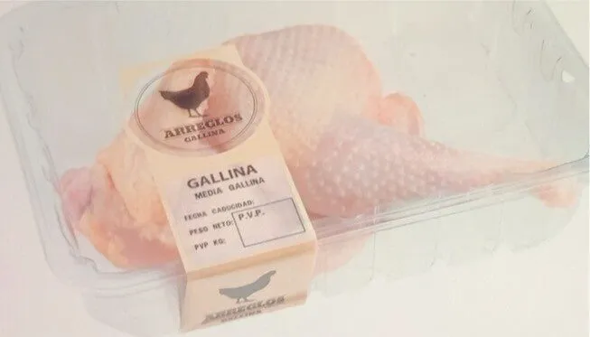 Gallina