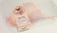 Gallina