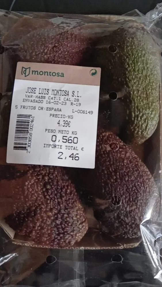 Aguacate