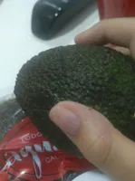 Aguacate