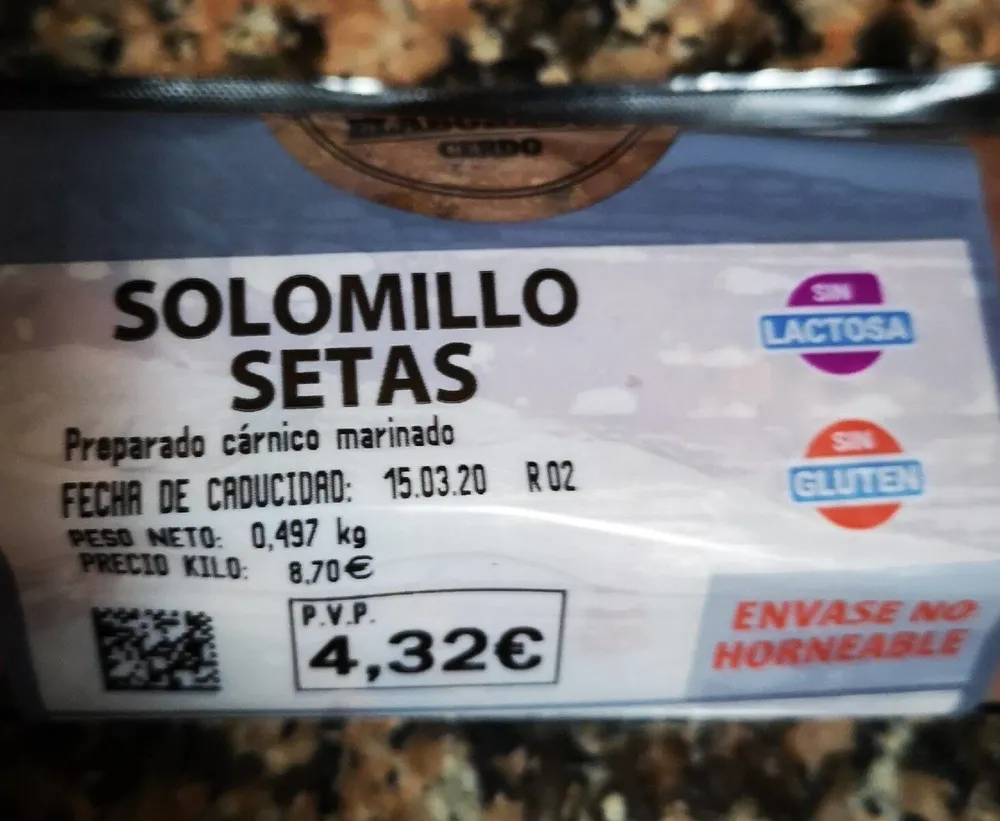 Solomillo setas