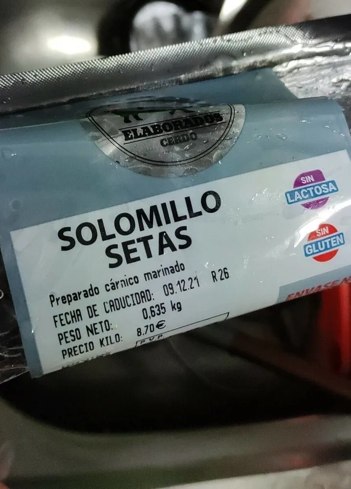 Solomillo setas