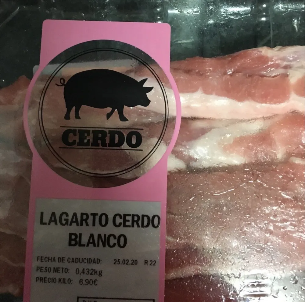 Lagarto cerdo blanco