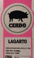 Lagarto