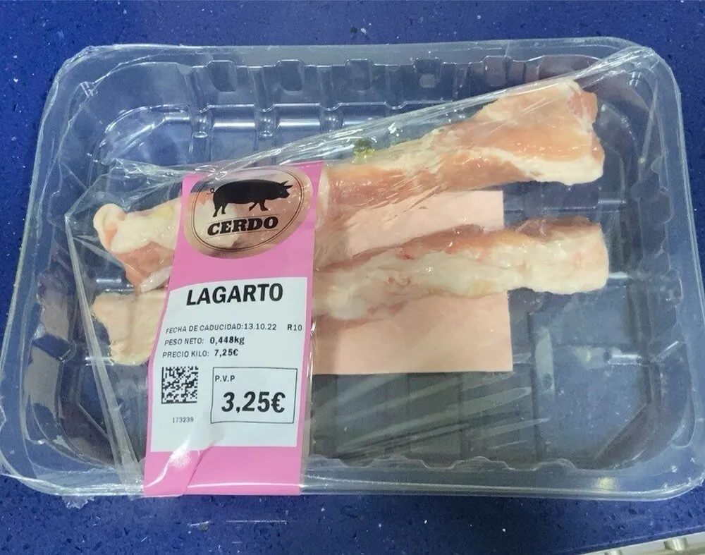 Lagarto