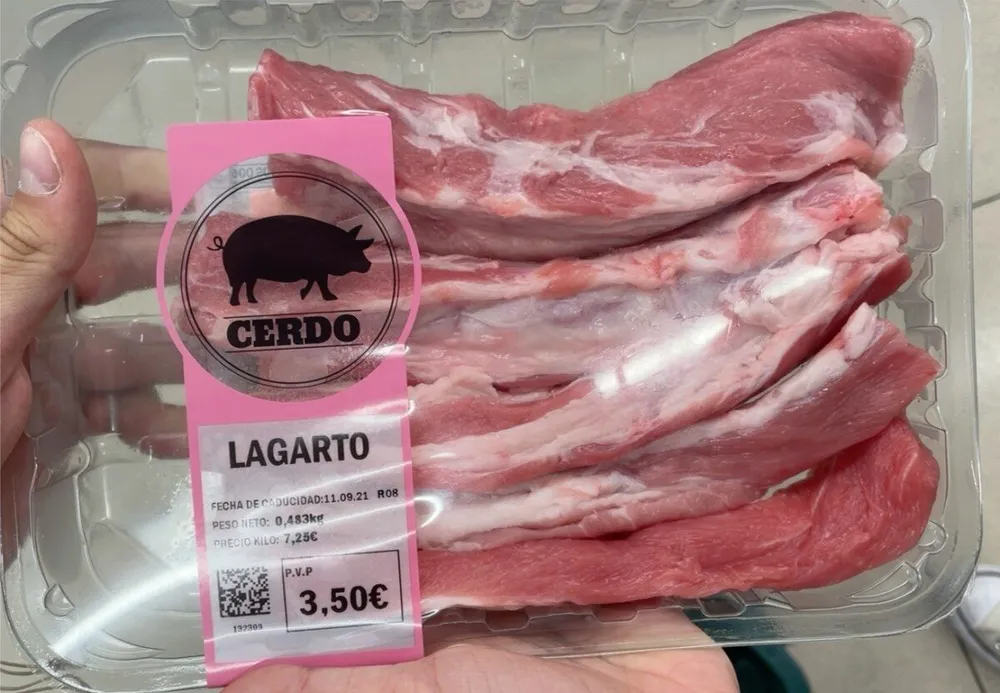 Lagarto