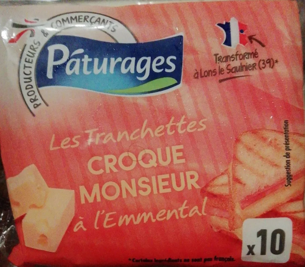 Les tranchées croque monsieur à l'emmental