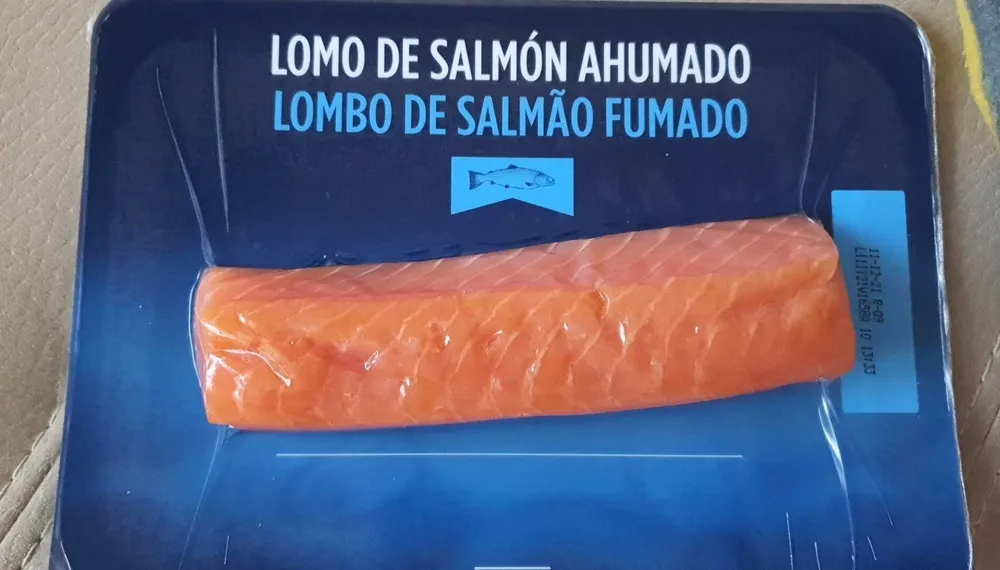 Salmon