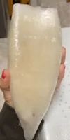 Tubo de pota