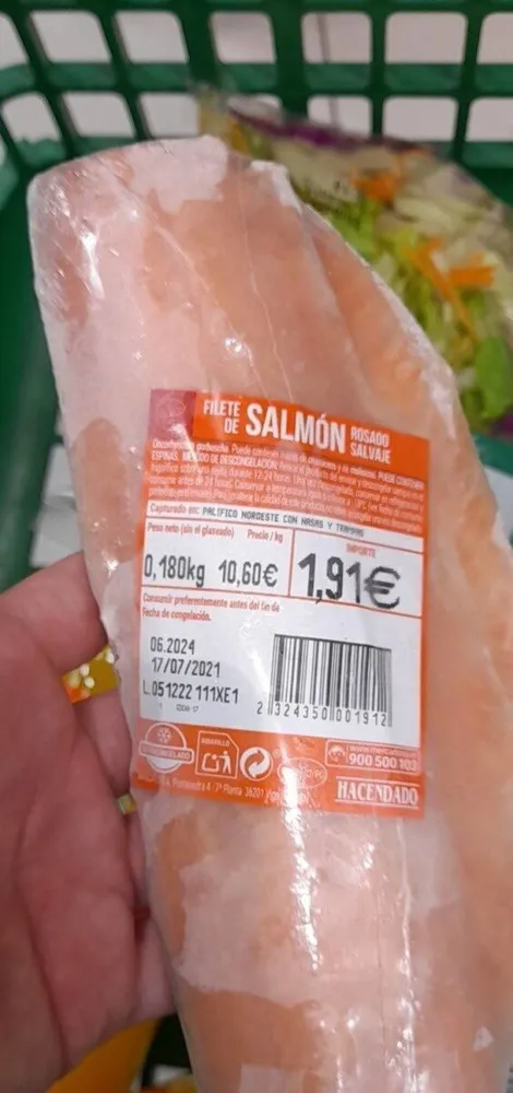Filete de salmón